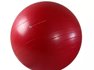 Fitball 65/75cm ref 059