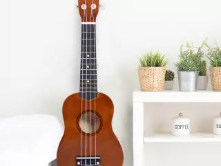Ukelele 21 Pulgada Ukelele Soprano de Iniciación para Principiantes Ukelele Concierto Hawaiian Cuerdas Aquila de Nylon Material Madera Marrón