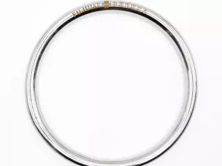 Anillo Wing Tsun