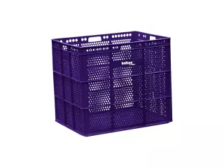 BANASTA - UNIDAD, MORADO