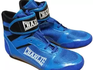 BOTIN RING BOXEO