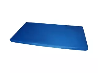 COLCHONETA REFORZADA 200X100X10CM SIN CANTONERAS