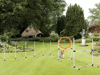 Set de Entrenamiento de Agilidad para Perros