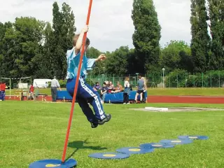 PÉRTIGA FIBRA DE VIDRIO#