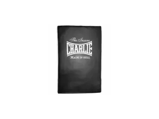 ESCUDO PLANO boxeo 56X36X10