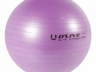 Fitness Ball PELOTA