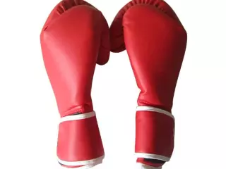 Guantes de Boxeo PRO 12 ONZAS