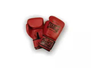 Guantes BLOOD boxeo