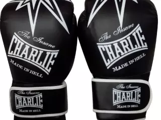 Guantes de Boxeo CHARLIE BLACK STAR Entrenamiento