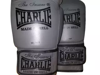 Guantes de Boxeo Entrenamiento CHARLIE Grafito
