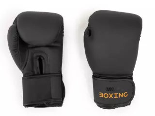 Guantes de boxeo REF 012