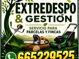 Jardinero profesional
