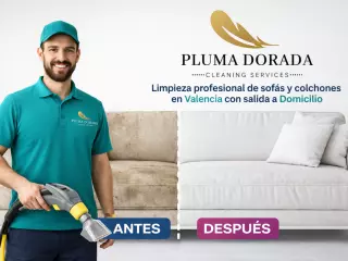 Limpieza de Sofas y Colchones Dezenfectacion a Domicilio