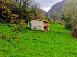 Finca con cabaña