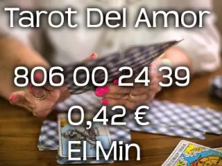 Tarot Certero | Respuesta Inmediata