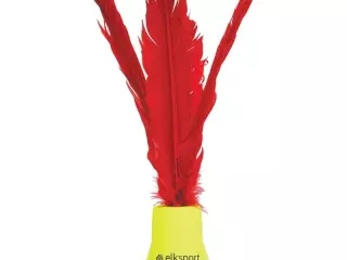 INDIACA