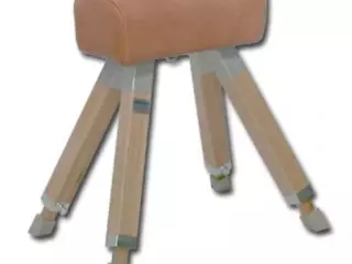 Potro escolar 60 cm con patas de madera y cuero sintético