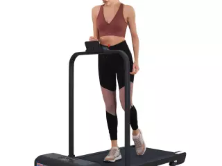 Cinta de Correr Cinta de Andar Plegable 2,5 HP con Pantalla LED Velocidad Ajustable Max. 10 km/h Control Remoto Negro