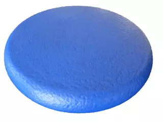 Disco Foam Recubierto 22 cm.