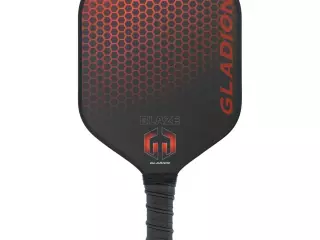Pala pickleball BLAZE