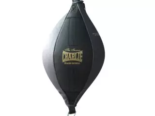 Punching Entrenamiento de Boxeo con gomas CHARLIE RUGBY