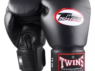 Twins Special Guantes Boxeo BG-N Negro
