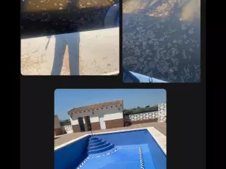 Jardineria