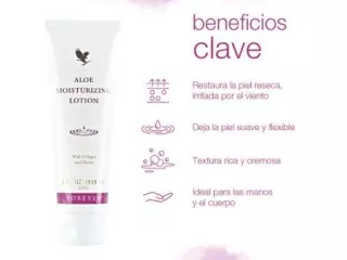 Crema hidratante con 36% di Aloe Vera: ALOE MOISTURIZING LOT