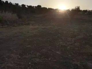 Parcela en tolox dos mil metros con luz y agua