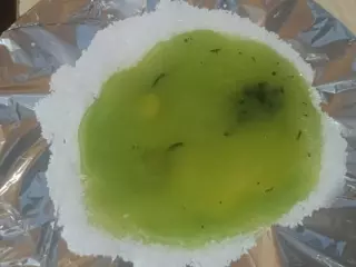 Videncia natural