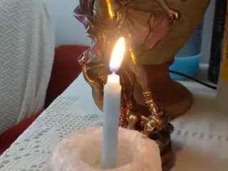 Abre tu camino con el tarot