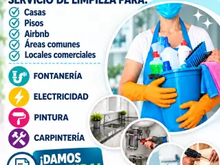 ALICANTE LIMPIEZA PASTOR