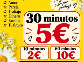 tarotistas y videntes disponibles dia y noche