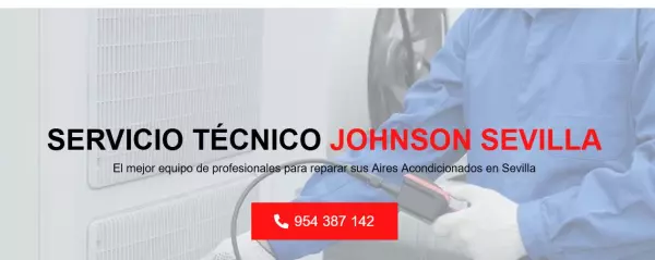 Servicio Técnico Johnson Sevilla 954341171