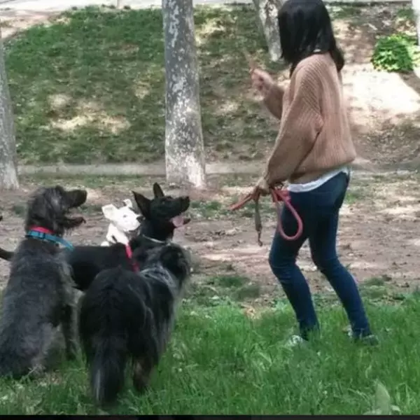 Cuidadora de perros Terrassa