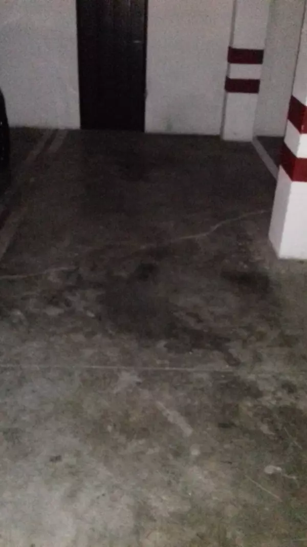 Alquilo  garaje y trastero