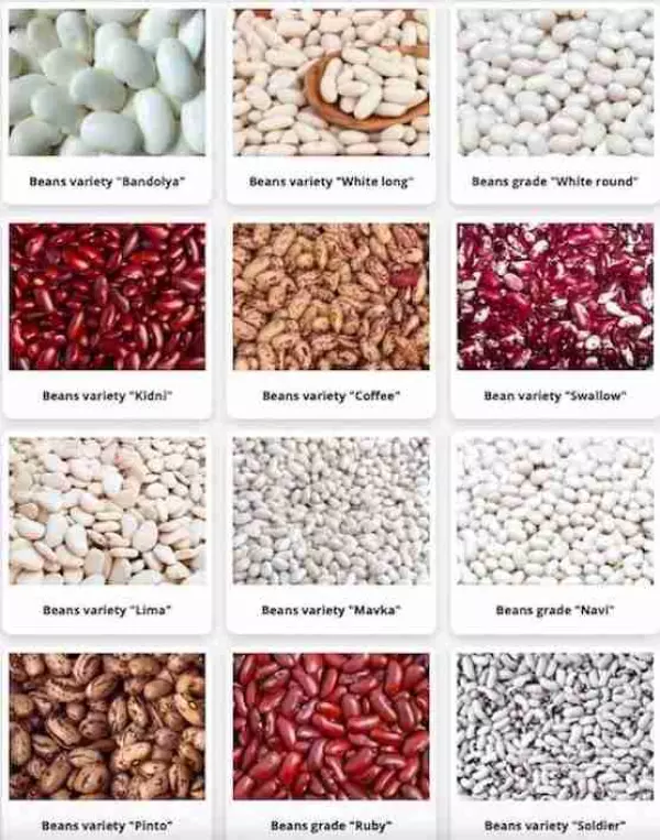 Vendemos frijoles.