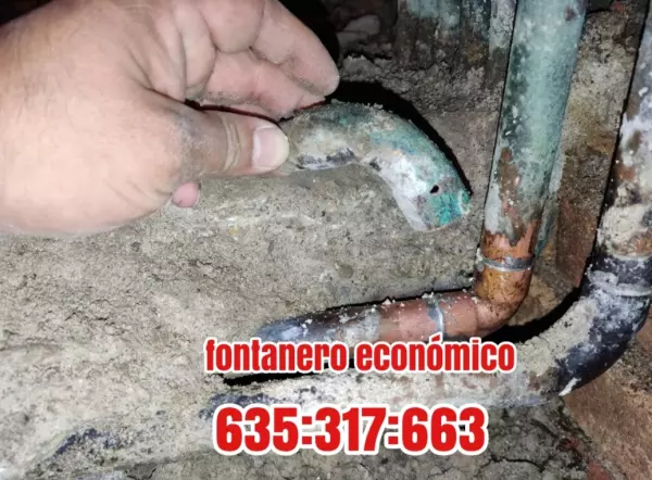 Fontanero económico