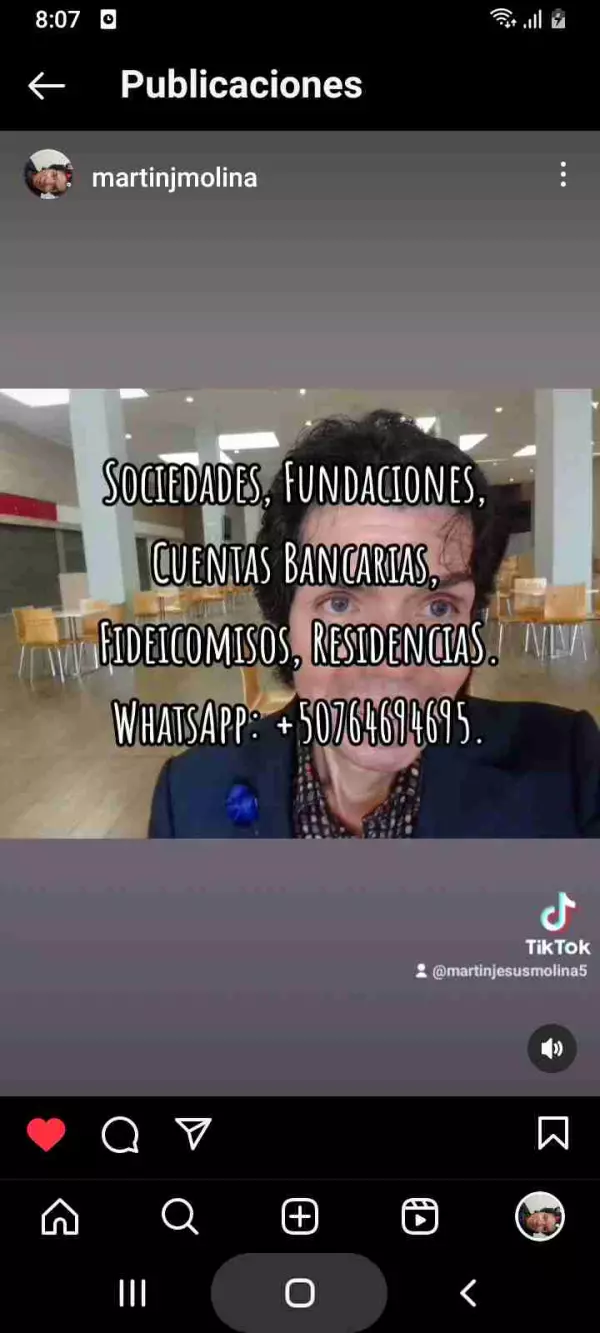 Sociedades Anónimas.