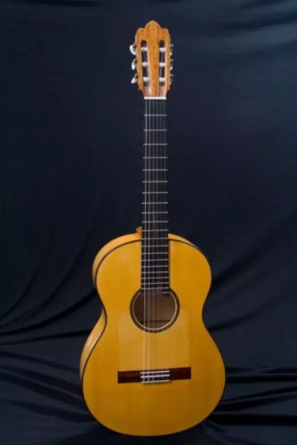 Clases de guitarra clasico/flamenco