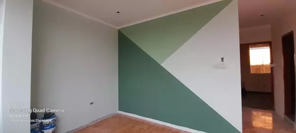 PINTOR PROFESIONAL PARTICULAR