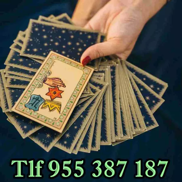 Profesionales,sinceros y certeros 30 min 9 eur