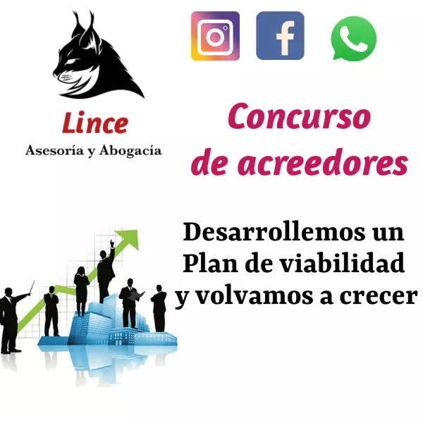 Lince Asesoría y Abogacía