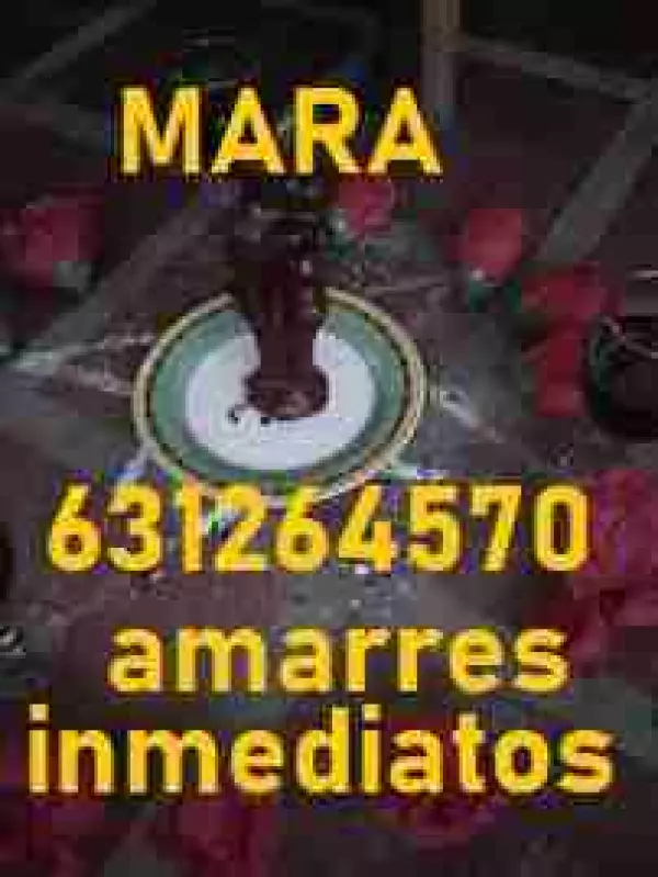 AMARRES DE AMOR ETERNOS, VIDENTE,