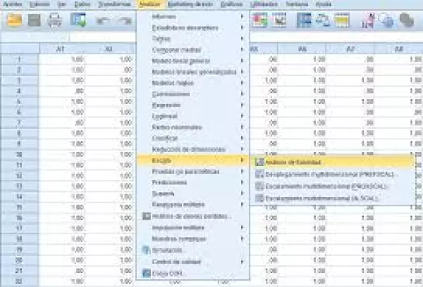 Necesitas instalar el programa spss y no lo encuentras