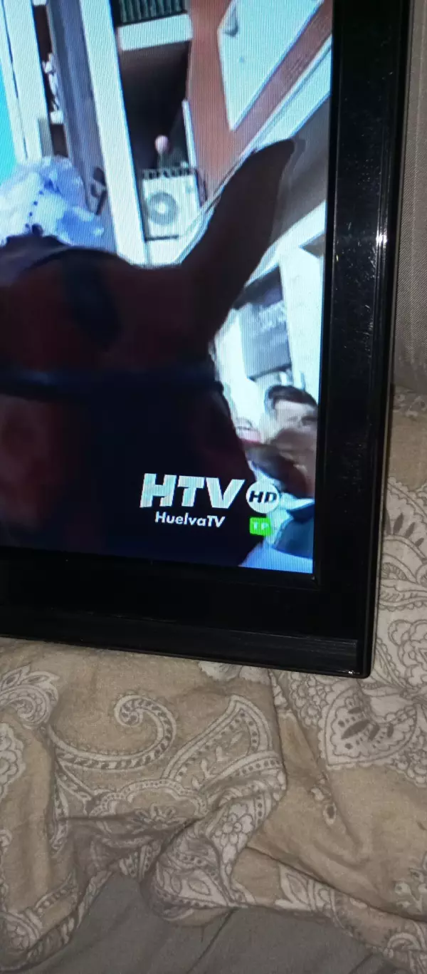 televisor hd led 19pulgada en bue estado