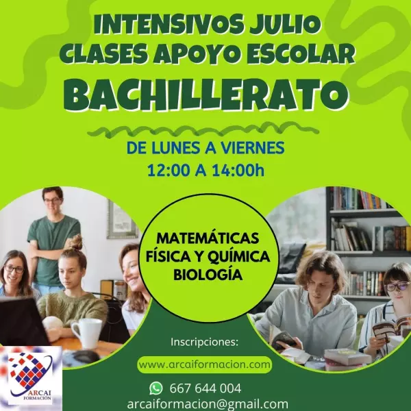 Clases intensivas de apoyo escolar para bachillerato