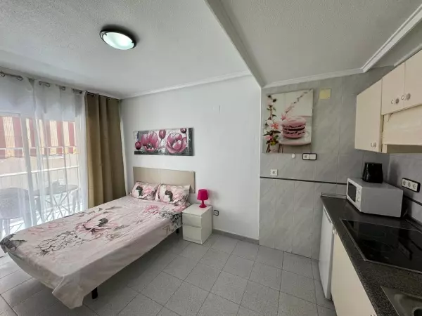 REFORMADO ESTUDIO EN EL CENTRO DE TORREVIEJA. 27 M2. LICENCIA TURISTICA. PLAYA A 850 METROS.