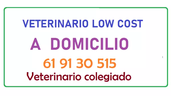 Veterinario con mas de 30 años de experiencia