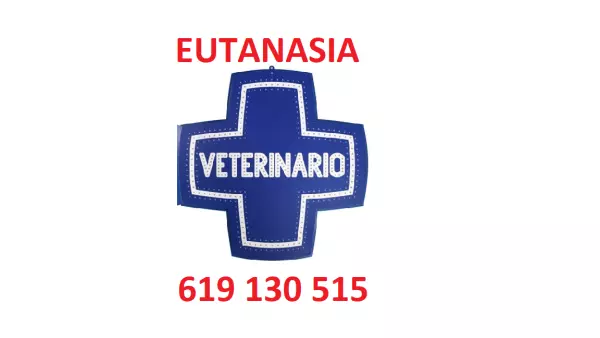 EUTANASIA DE ANIMALES a DOMICILIO